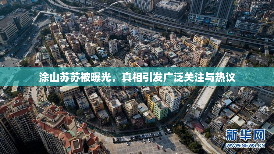 涂山苏苏被曝光，真相引发广泛关注与热议