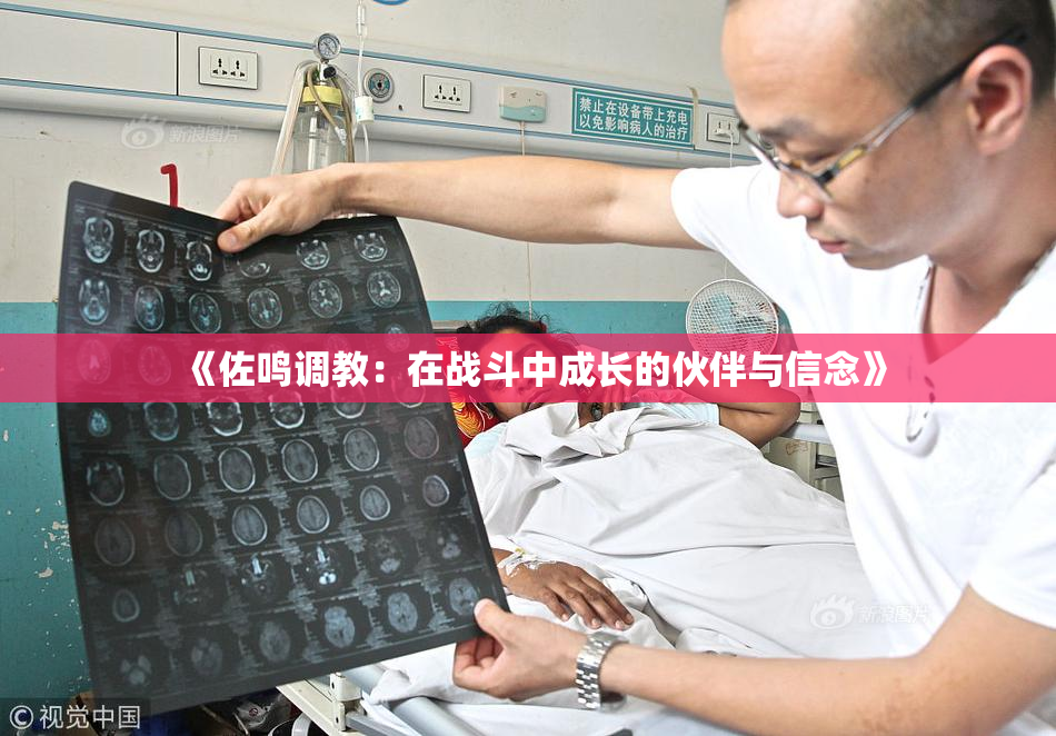 《佐鸣调教：在战斗中成长的伙伴与信念》