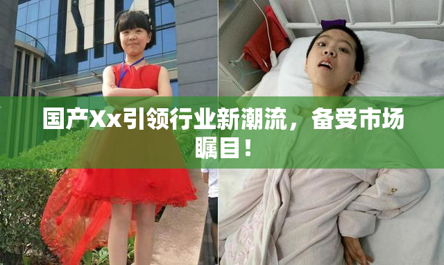 国产Xx引领行业新潮流，备受市场瞩目！