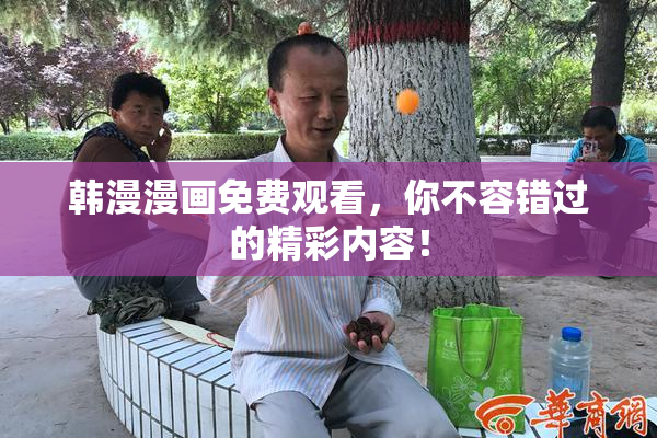 韩漫漫画免费观看，你不容错过的精彩内容！