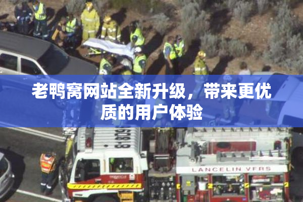 老鸭窝网站全新升级，带来更优质的用户体验