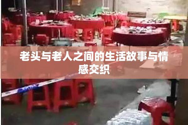 老头与老人之间的生活故事与情感交织