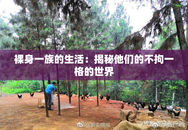 裸身一族的生活：揭秘他们的不拘一格的世界