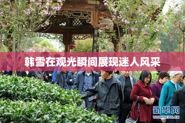 韩雪在观光瞬间展现迷人风采