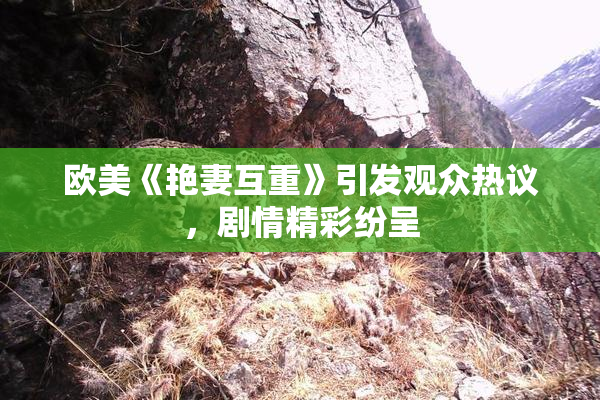 欧美《艳妻互重》引发观众热议，剧情精彩纷呈