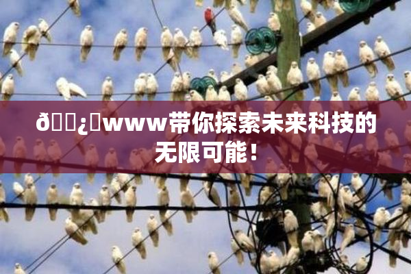 🌿‌www带你探索未来科技的无限可能！