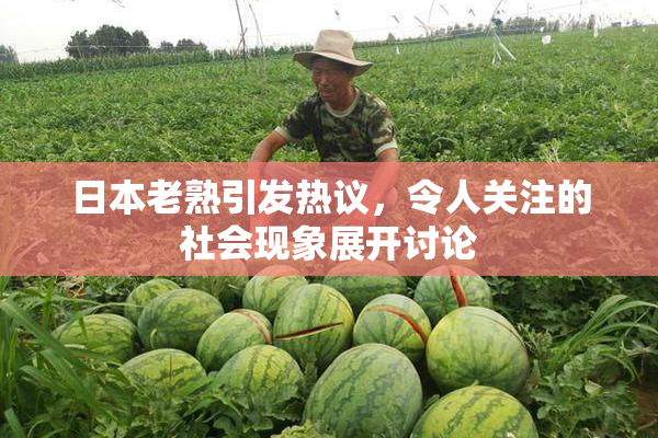 日本老熟引发热议，令人关注的社会现象展开讨论