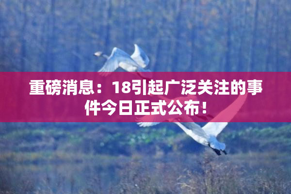 重磅消息：18引起广泛关注的事件今日正式公布！