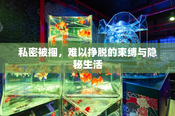 私密被捆，难以挣脱的束缚与隐秘生活