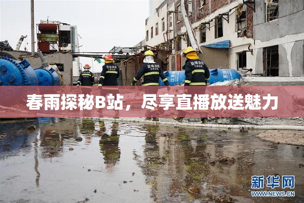 春雨探秘B站，尽享直播放送魅力