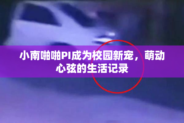 小南啪啪PI成为校园新宠，萌动心弦的生活记录