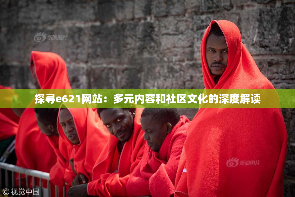 探寻e621网站：多元内容和社区文化的深度解读