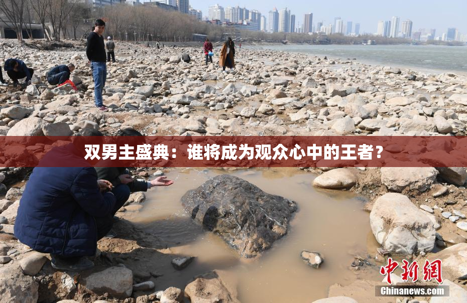 双男主盛典：谁将成为观众心中的王者？