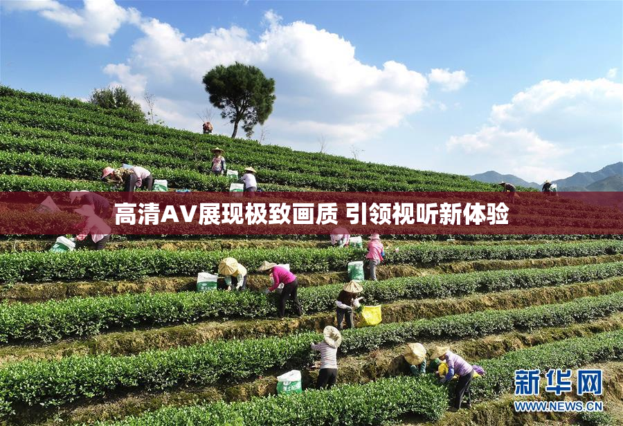 高清AV展现极致画质 引领视听新体验