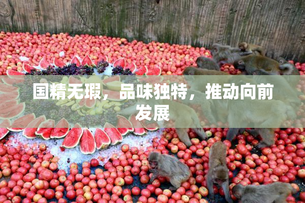 国精无瑕，品味独特，推动向前发展