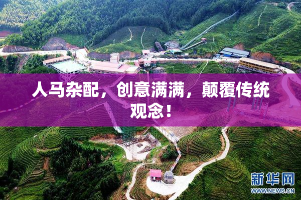 人马杂配，创意满满，颠覆传统观念！