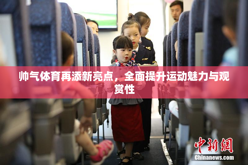 帅气体育再添新亮点，全面提升运动魅力与观赏性