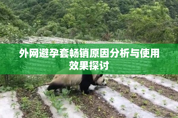 外网避孕套畅销原因分析与使用效果探讨