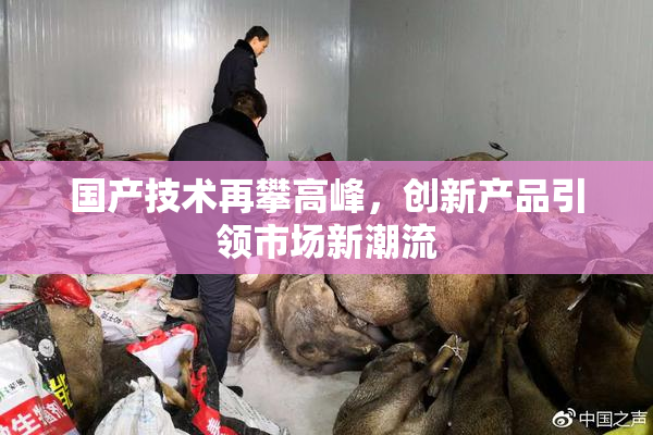 国产技术再攀高峰，创新产品引领市场新潮流