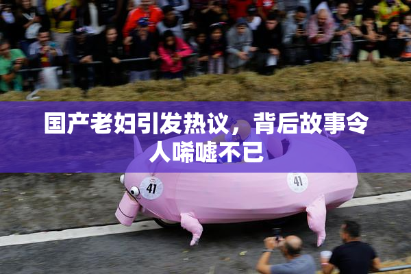 国产老妇引发热议，背后故事令人唏嘘不已
