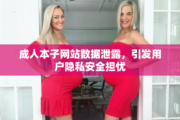 成人本子网站数据泄露，引发用户隐私安全担忧