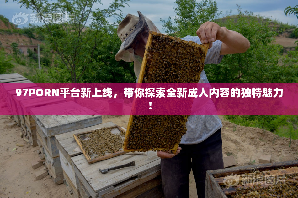97PORN平台新上线，带你探索全新成人内容的独特魅力！