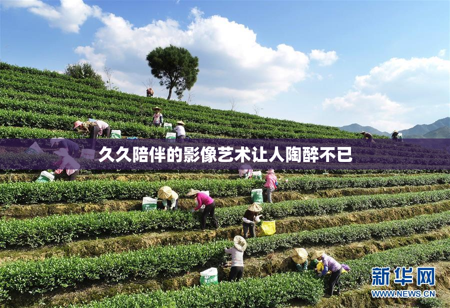 久久陪伴的影像艺术让人陶醉不已