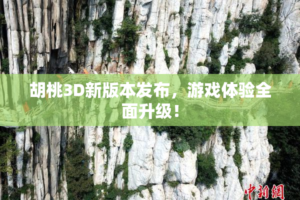 胡桃3D新版本发布，游戏体验全面升级！