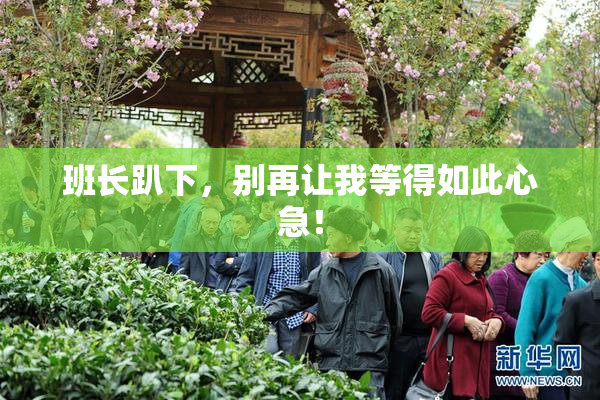 班长趴下，别再让我等得如此心急！