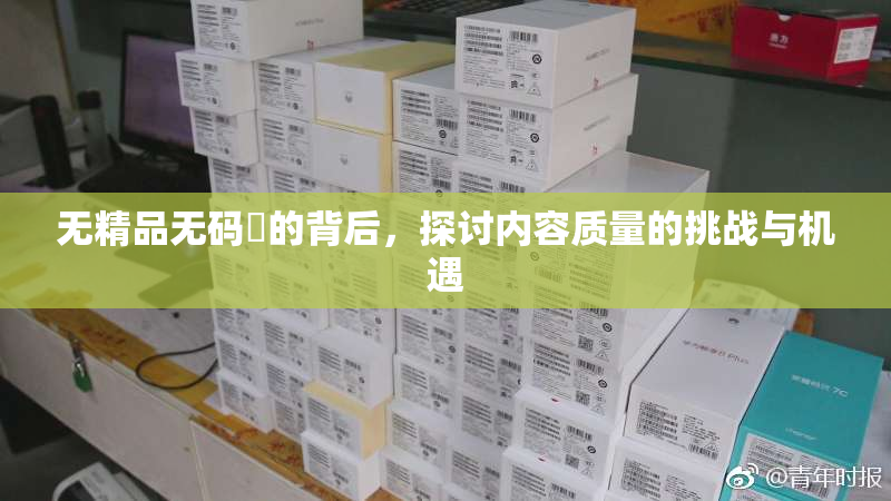 无精品无码囯的背后，探讨内容质量的挑战与机遇