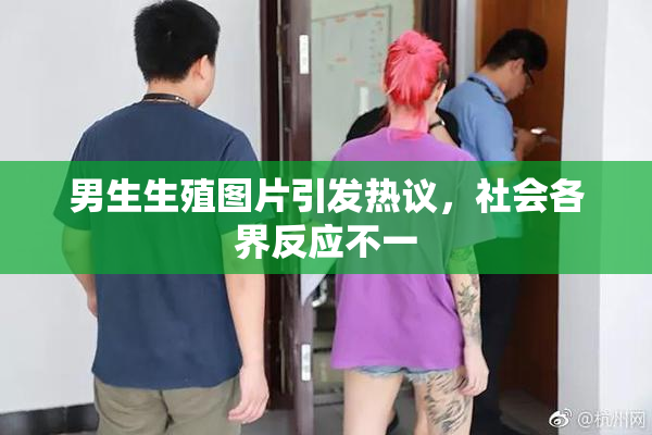男生生殖图片引发热议，社会各界反应不一