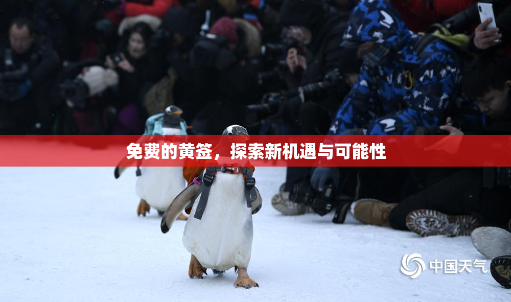 免费的黄签，探索新机遇与可能性
