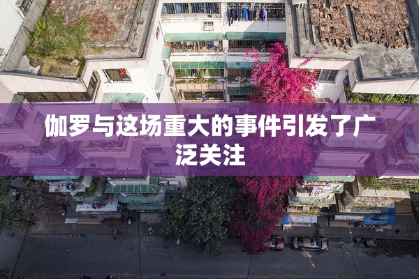 伽罗与这场重大的事件引发了广泛关注