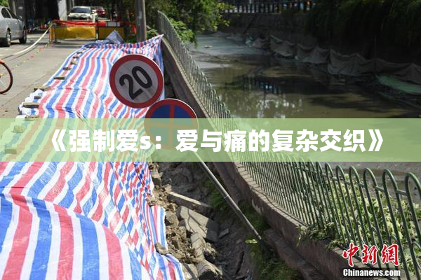 《强制爱s：爱与痛的复杂交织》