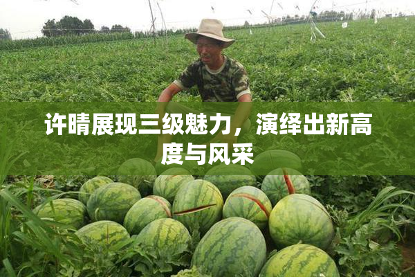 许晴展现三级魅力，演绎出新高度与风采