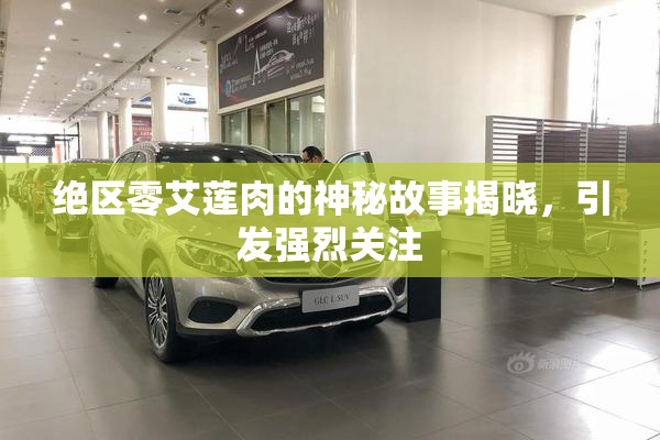 绝区零艾莲肉的神秘故事揭晓，引发强烈关注