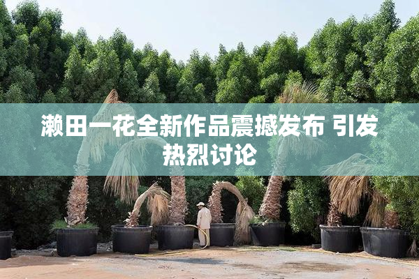 濑田一花全新作品震撼发布 引发热烈讨论