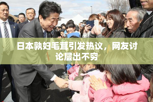 日本孰妇毛茸引发热议，网友讨论层出不穷