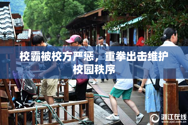 校霸被校方严惩，重拳出击维护校园秩序