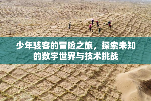 少年骇客的冒险之旅，探索未知的数字世界与技术挑战