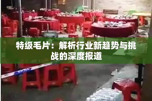 特级毛片：解析行业新趋势与挑战的深度报道
