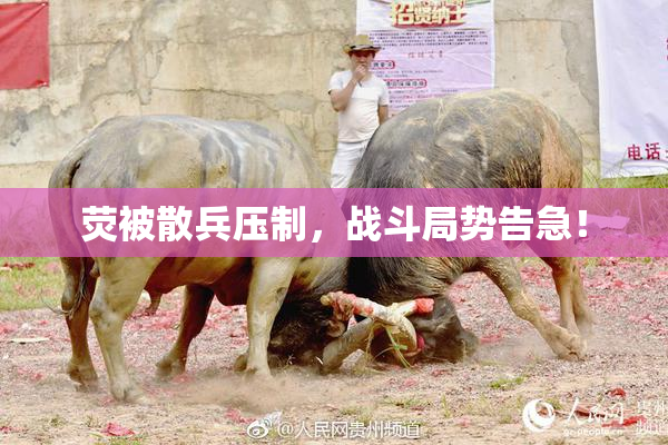 荧被散兵压制，战斗局势告急！