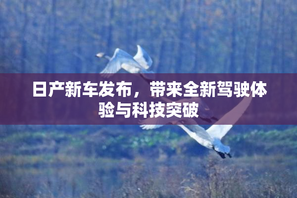 日产新车发布，带来全新驾驶体验与科技突破