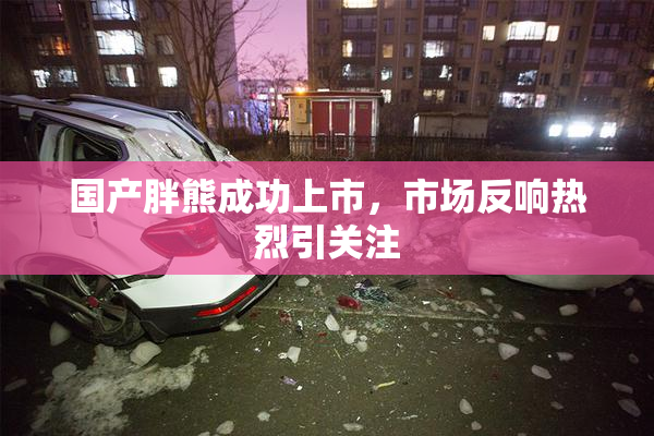 国产胖熊成功上市，市场反响热烈引关注