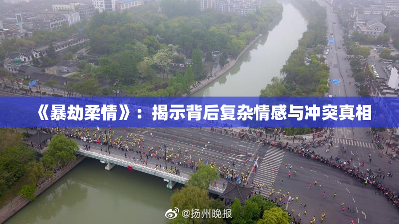 《暴劫柔情》：揭示背后复杂情感与冲突真相