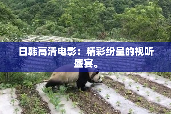 日韩高清电影：精彩纷呈的视听盛宴。