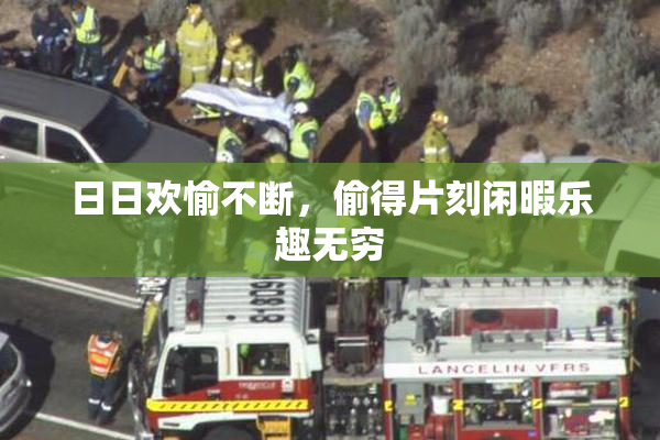 日日欢愉不断，偷得片刻闲暇乐趣无穷
