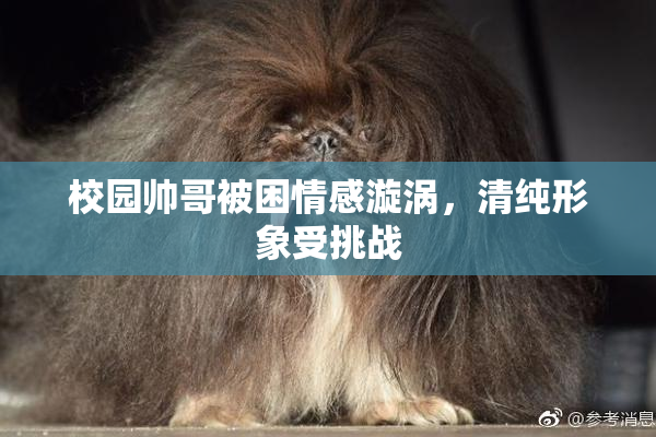 校园帅哥被困情感漩涡，清纯形象受挑战