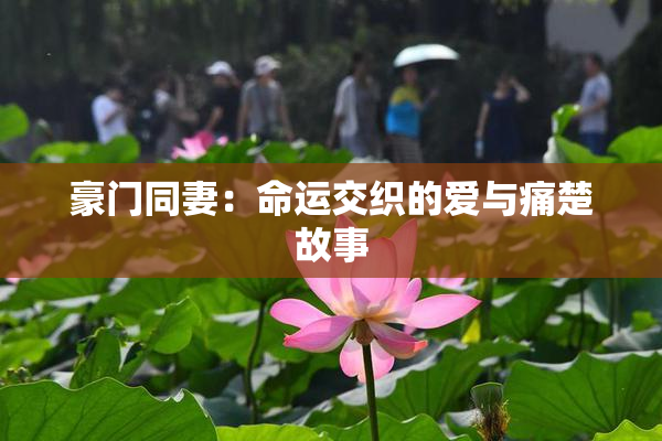 豪门同妻：命运交织的爱与痛楚故事