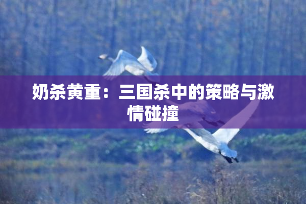 奶杀黄重：三国杀中的策略与激情碰撞